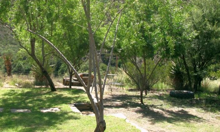 The Old School House Hotel Calitzdorp Bagian luar foto